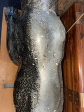 Load image into Gallery viewer, Large monumental Life Size Painted Bronze Black Panther Statue 66” !!
