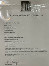 Load image into Gallery viewer, JOSE PICAYO ‘Cuban Palazzo’ Framed Photograph Print 51”x63” Limited Ed With COA
