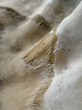 Load image into Gallery viewer, Ancient Giant Clam Shell (Tridacna Gigas) 32&quot; W, 19” D, 10” T, 87 Pounds
