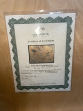 Load image into Gallery viewer, 50 Mil Year Old Phareodus Liops, Knightia Eocaena Fossil species 43”x35.5”
