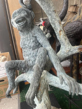 Load image into Gallery viewer, Large Life Size Bronze Sculpture, Monkeys In Tree￼ 72” X 34”!!
