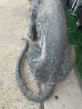 Load image into Gallery viewer, Large Life Size majestic ￼metal Cheetah Statue 41” !!
