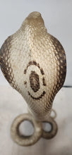 Load image into Gallery viewer, 26&quot; Strike Position Cobra Snake Taxidermy Reptile Mount Vintage Southeast Asia
