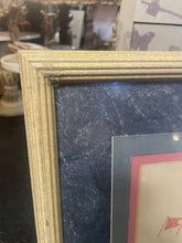 Load image into Gallery viewer, Framed 1884 Plate 26 By Frederic S. Cozzens Chromolithograph ”Signal Chart”
